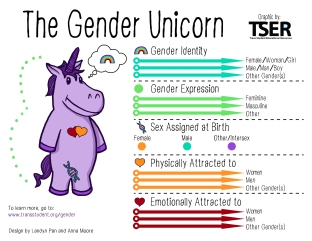 The Gender Unicorn from TSER is a good way to start a conversation 